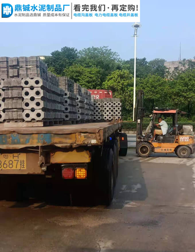 肇庆四会协大鞋厂双八字植草砖厂区工程案例图片-4