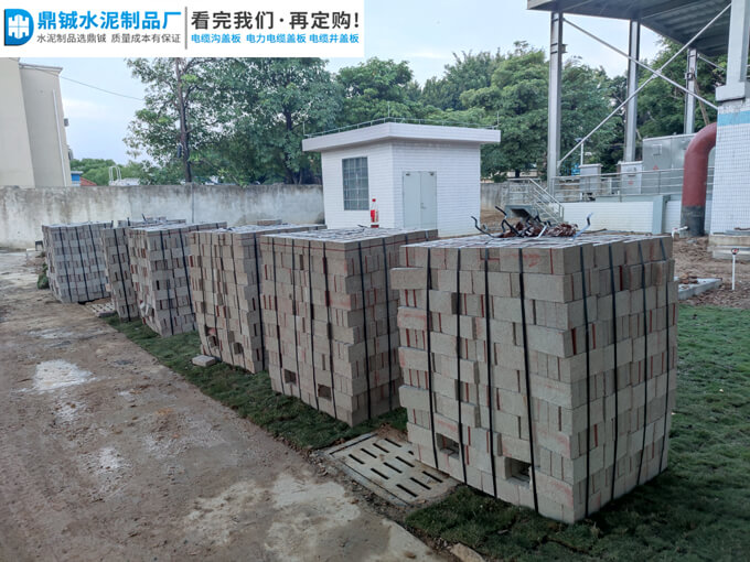 肇庆四会华南水务污水厂透水砖道路工程案例图片-1