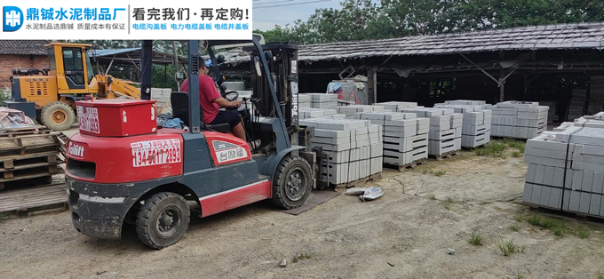 广东清远森林公园排水沟盖板道路工程案例图片-2