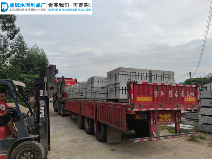 广东清远森林公园排水沟盖板道路工程案例图片-3