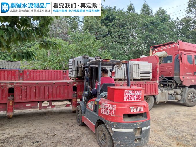 广东清远森林公园排水沟盖板道路工程案例图片-5