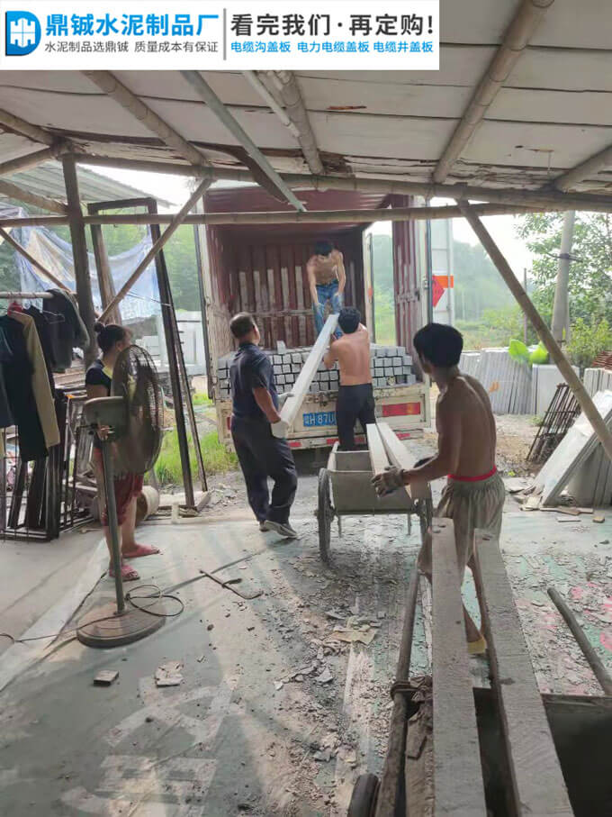 肇庆大旺高新区水泥葡萄架百果园工程案例图片-2