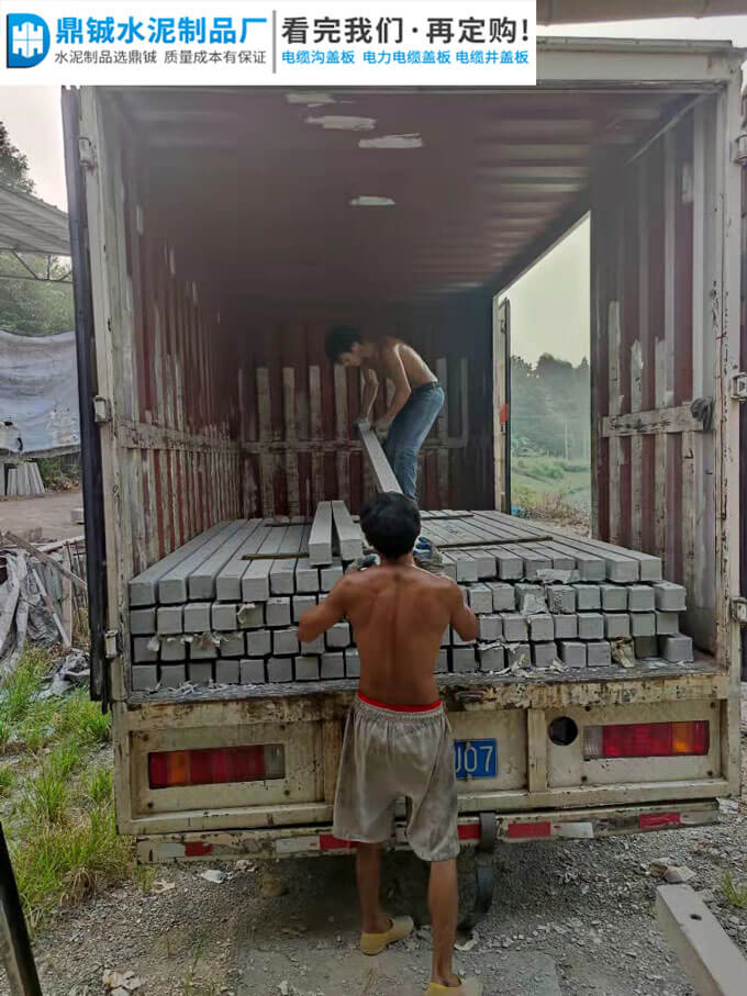 肇庆大旺高新区水泥葡萄架百果园工程案例图片-3