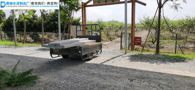 肇庆大旺高新区水泥葡萄架百果园工程案例图片-5