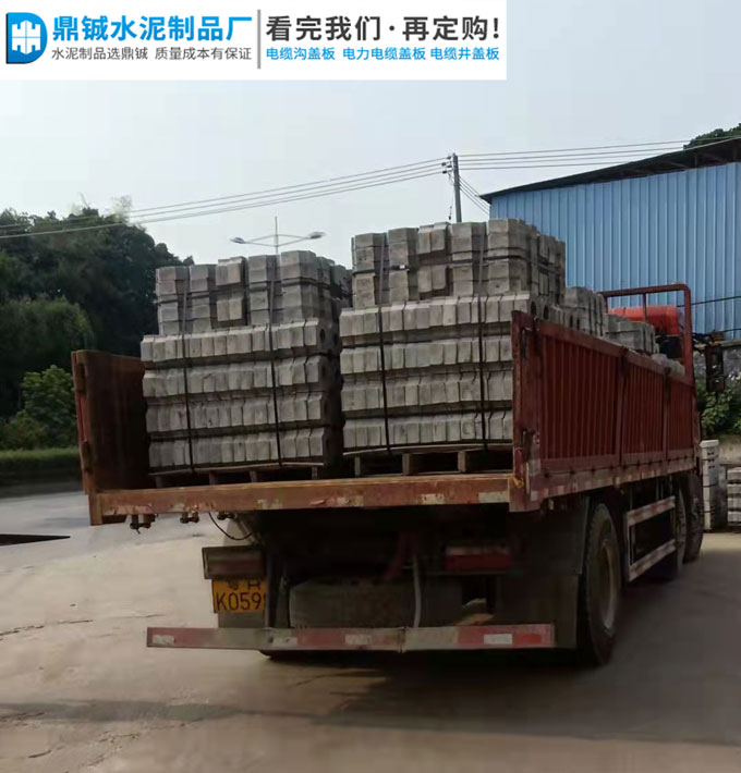 肇庆市鼎湖双八字植草砖道路工程案例图片-4