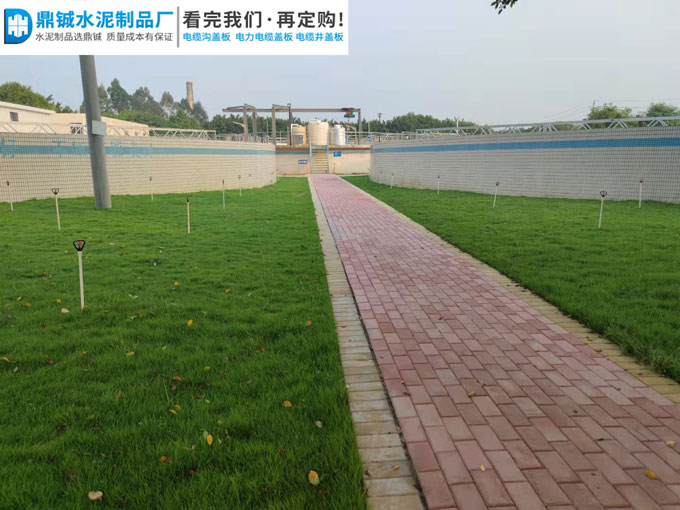 肇庆四会污水处理厂厂区透水砖道路工程案例图片-4