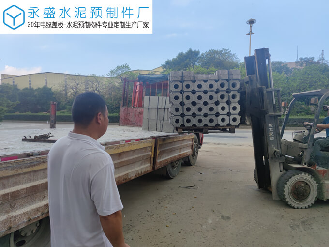 肇庆大旺高新区巨元生化公司双八字植草砖工程案例图片-1