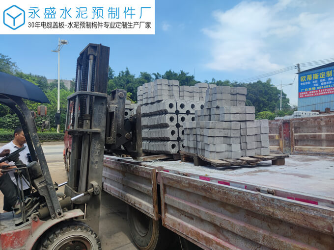 肇庆大旺高新区巨元生化公司双八字植草砖工程案例图片-4