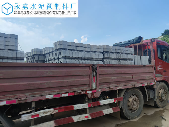 肇庆大旺高新区巨元生化公司双八字植草砖工程案例图片-5