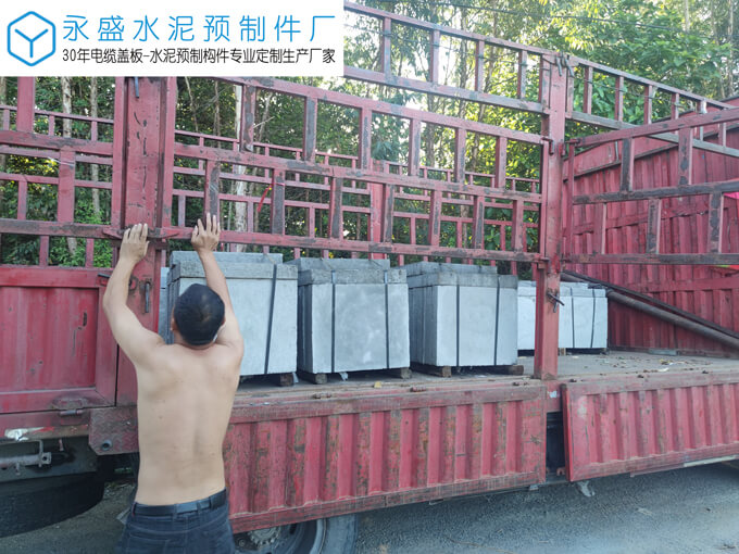 肇庆高要区美丽乡村工程定制水泥盖板案例图片-4